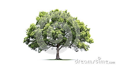 AI generative. Green tree on white background Stock Photo