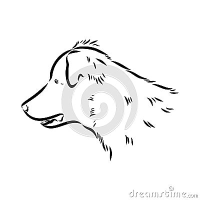 aidi dog, vector sketch outline pencil drawing artwork, black character on white background Vector Illustration