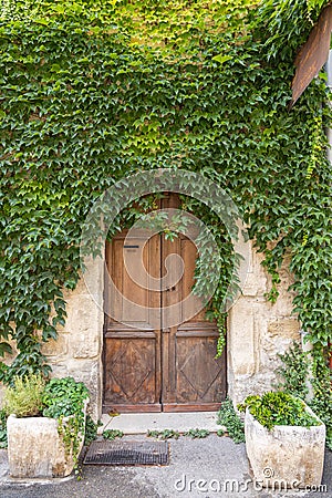 Green ivy growing over a wooden door Stock Photo