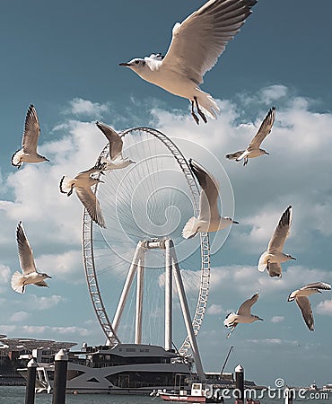 The Ain Dubai ferris wheel Editorial Stock Photo