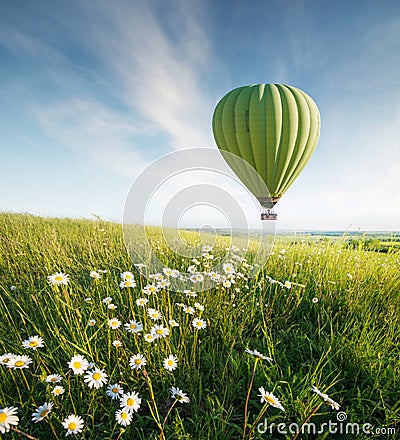 Air ballon above field with flowers at the summer time. Stock Photo