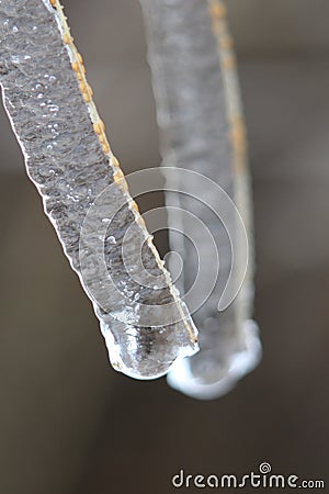 Air bubbles Stock Photo