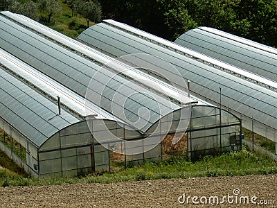 Air-conditioned greenhouses Stock Photo