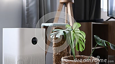 Air purifier in living room with house plant on the floor. Air cleaning and humidifying devise for house Stock Photo