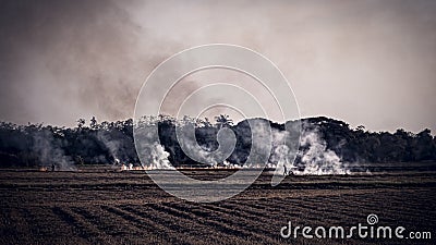 Air quality caused . Agricultural Burning in rural area of Thailand . Farmers burn their fields to remove plants . prescribed Stock Photo