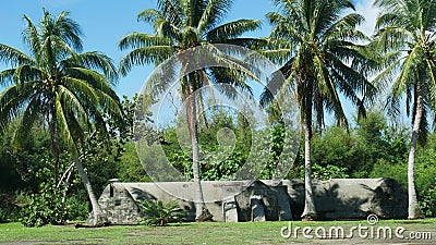 Air Raid Shelter, Northfield, Tinian, CNMI Stock Photo