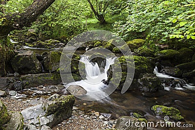 Aira Beck. Stock Photo