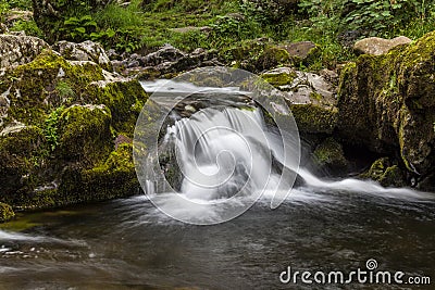 Aira Beck. Stock Photo