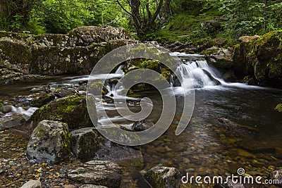 Aira Beck. Stock Photo