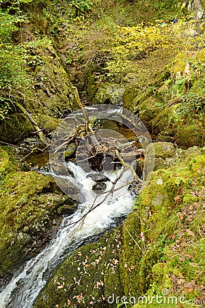 Aira Beck stream below famous Aira Force waterfall, located in the Lake District, Cumbria, UK Stock Photo