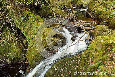 Aira Beck stream below famous Aira Force waterfall, located in the Lake District, Cumbria, UK Stock Photo