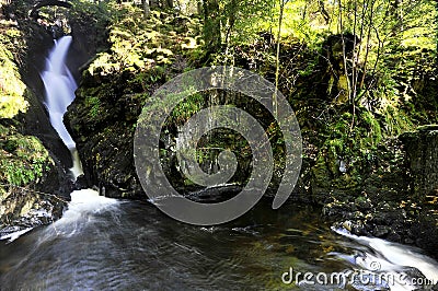 Aira Force Stock Photo