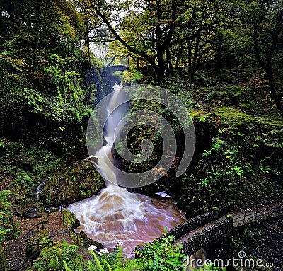 Aira Force Stock Photo