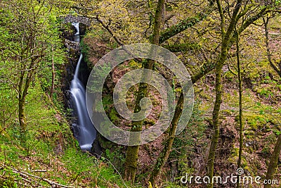 Aira Force Waterfall, Cumbria, England, United Kingdom Stock Photo