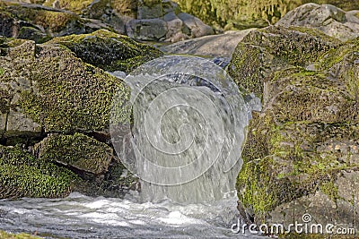 lake district, england: Aira force waterfall Stock Photo