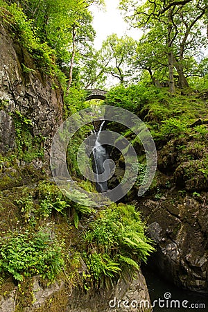 Aira Force waterfall Ullswater Valley Lake District Cumbria England UK Stock Photo