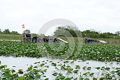 Airboats in Everglades National Park, South Florida Editorial Stock Photo