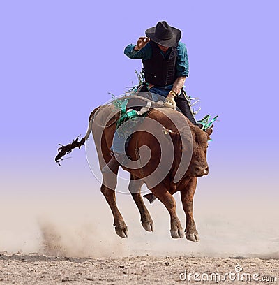 Airborne on a Bull Stock Photo