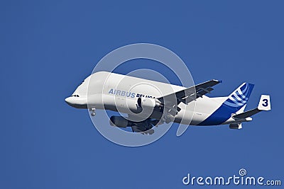 Airbus A300 - 600T Beluga - Air Transport Editorial Stock Photo