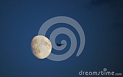 Aircraft fling close to the moon on a blue sky Stock Photo