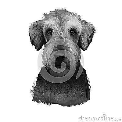 Airedale Terrier breed digital art illustration isolated on white black and white. Cute domestic purebred animal. Bingley and Cartoon Illustration