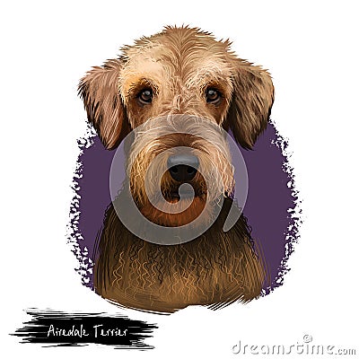 Airedale Terrier breed digital art illustration isolated on white. Cute domestic purebred animal. Bingley and Waterside Cartoon Illustration