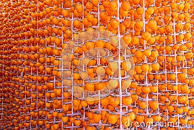 Airing persimmons Stock Photo