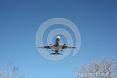 Airline Passenger Plane Coming in over trees. Stock Photo