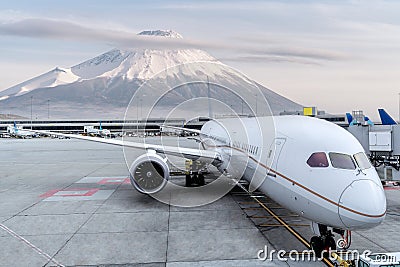 Airplaine passenger stop on run way of Heneda international airport with Fuji mountain background, Stock Photo