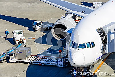 A airplane Loading on cargo. Editorial Stock Photo