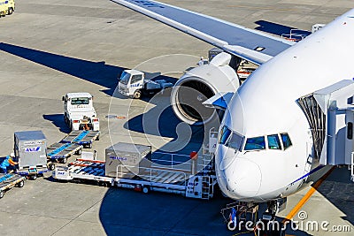 A airplane Loading on cargo. Editorial Stock Photo