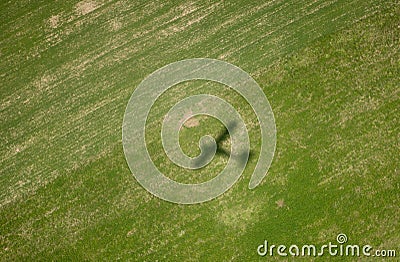 Airplane shadow on green field Stock Photo