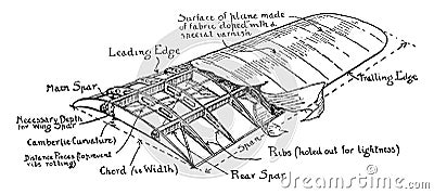 Airplane Wing Diagram, vintage illustration Vector Illustration