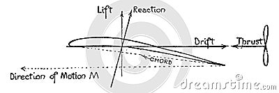 Airplane Wing Free Body Diagram, vintage illustration Vector Illustration