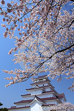 Aizuwakamatsu Castle and cherry blossom Stock Photo