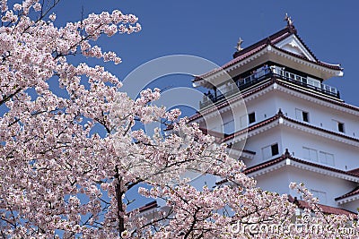 Aizuwakamatsu Castle and cherry blossom Stock Photo