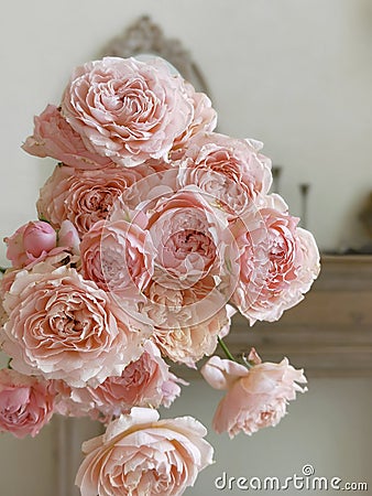 akia floral design Stock Photo