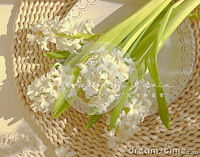 akia floral design Stock Photo