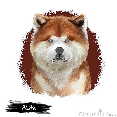 Akita breed digital art illustration isolated on white. Cute domestic purebred animal. Large breed of dog American Akita Cartoon Illustration