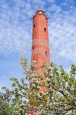 Akmensrags lighthouse on sunny spring day surrounded by blooming apple trees and lilac Stock Photo