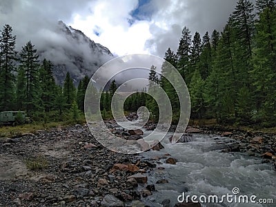 The Aktru river in Altai has spread through the forest. Stock Photo