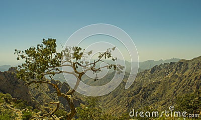 Al Hada Mountain in Taif City Stock Photo