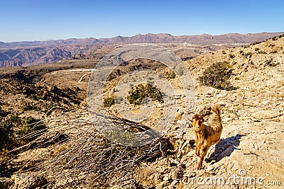 Al Hajar mountains of Oman Stock Photo