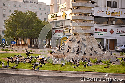 Al Khwair pigeons & doves roundabout in Muscat , Oman Editorial Stock Photo