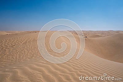 Al Qudra camels empty quarter seamless desert sahara in Dubai UAE Stock Photo