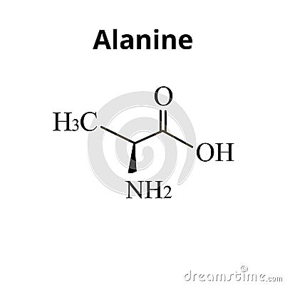 Alanine is an amino acid. Chemical molecular formula Alanine amino acid. Vector illustration on isolated background Vector Illustration