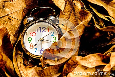 Alarm clock on dry leaf Stock Photo