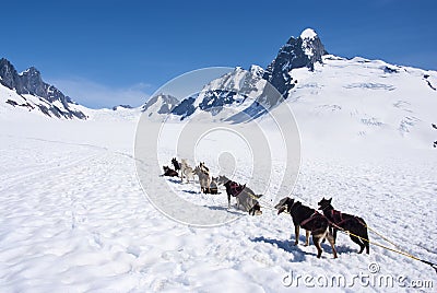 Alaska - Dog Sledding Adventure Stock Photo