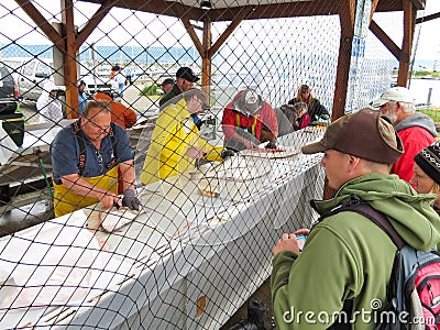 Alaska - Homer Halibut Fish Cleaning Station Editorial Stock Photo