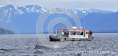 Alaska - Whale Chasing Small Boat Editorial Stock Photo